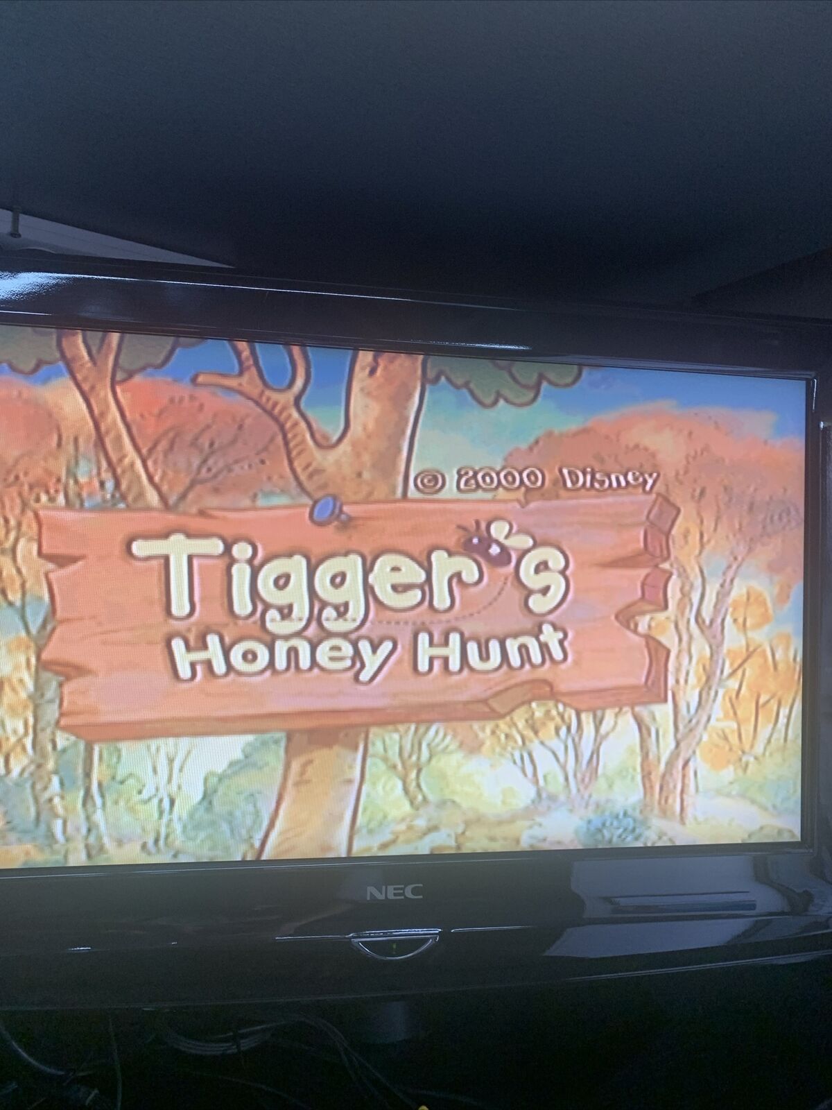 Tiggers Honey Hunt Nintendo 64 N64 Game